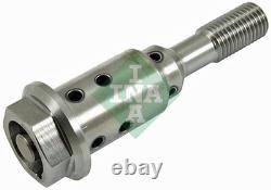 10x? Fits INA 427 0038 10 CENTRAL VALVE, CAMSHAFT ADJUSTMENT? UK Seller