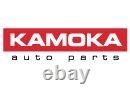 7800070 Condenser, Air Conditioning Kamoka