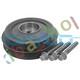 Crankshaft Pulley Fits Citroen Jumper Fiat Ducato Ford Tourneo Custom V362