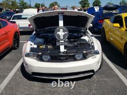 Custom Mustang Style Hood Prop